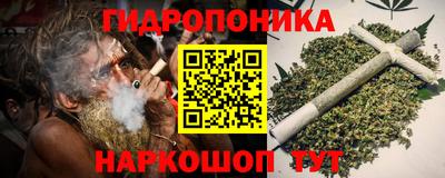 прущие грибы Среднеуральск