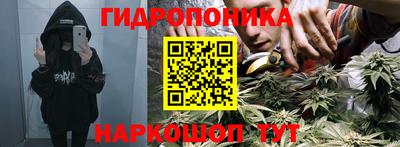 прущие грибы Среднеуральск