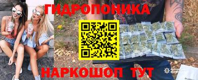 прущие грибы Среднеуральск