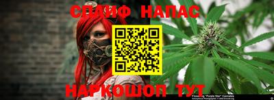 прущие грибы Среднеуральск