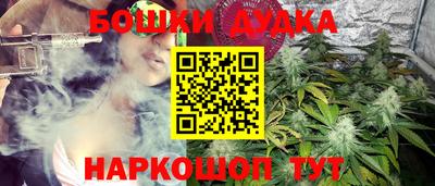 прущие грибы Среднеуральск