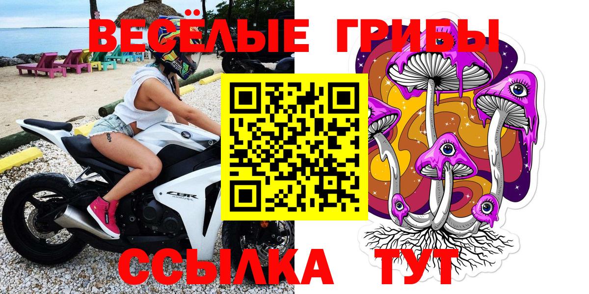 Псилоцибиновые грибы мухоморы Канаш