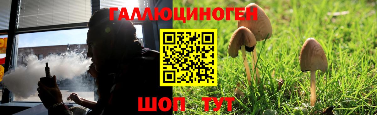 Канаш  Псилоцибиновые грибы ЛСД  где купить наркоту  Псилоцибиновые грибы прущие грибы  Вход с VPN 